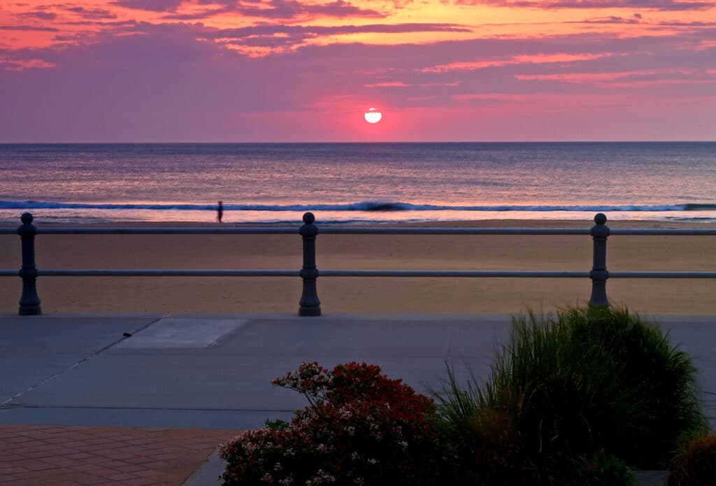 Wit Travel Virginia Beach's Top-Rated Places to Visit 4