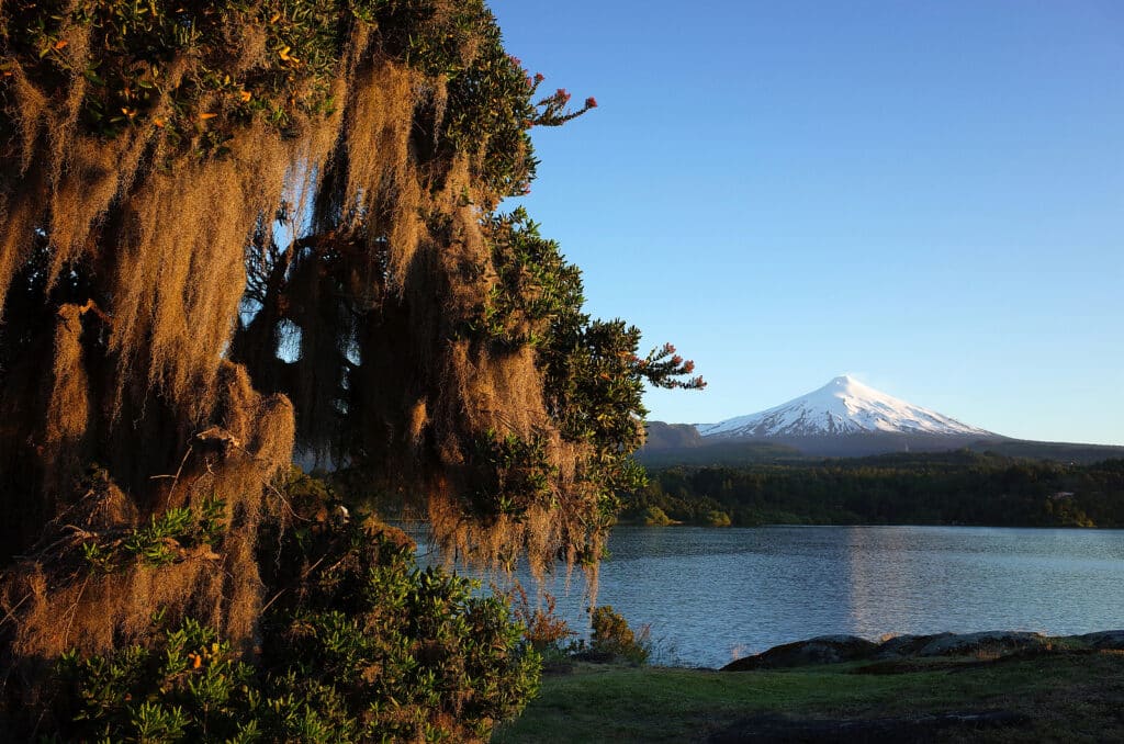 Wit Travel Members enjoy Chile's Diverse Landscape 1