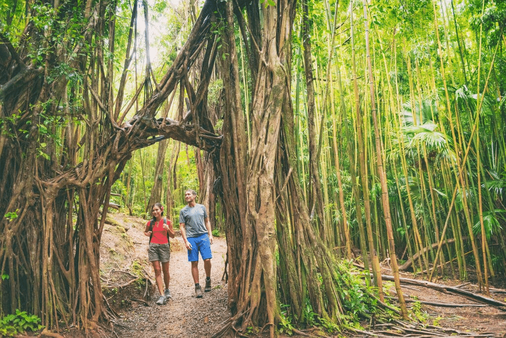 Oahu, a Tropical Paradise, reviewed by Wit Travel (2)