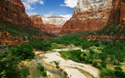 Wit Travel Reviews Visiting Zion National Park