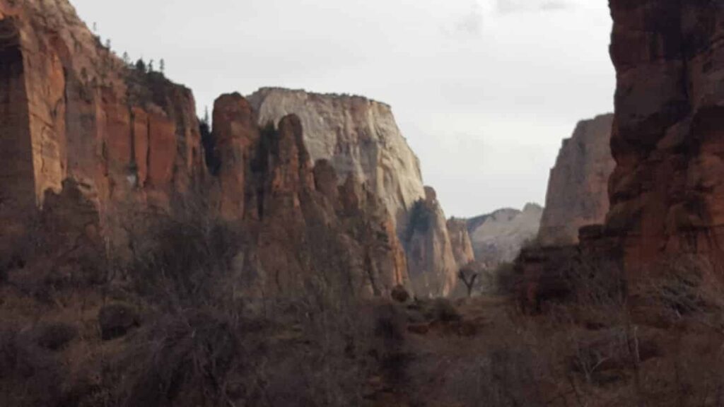 Wit Travel Reviews Visiting Zion National Park (3)