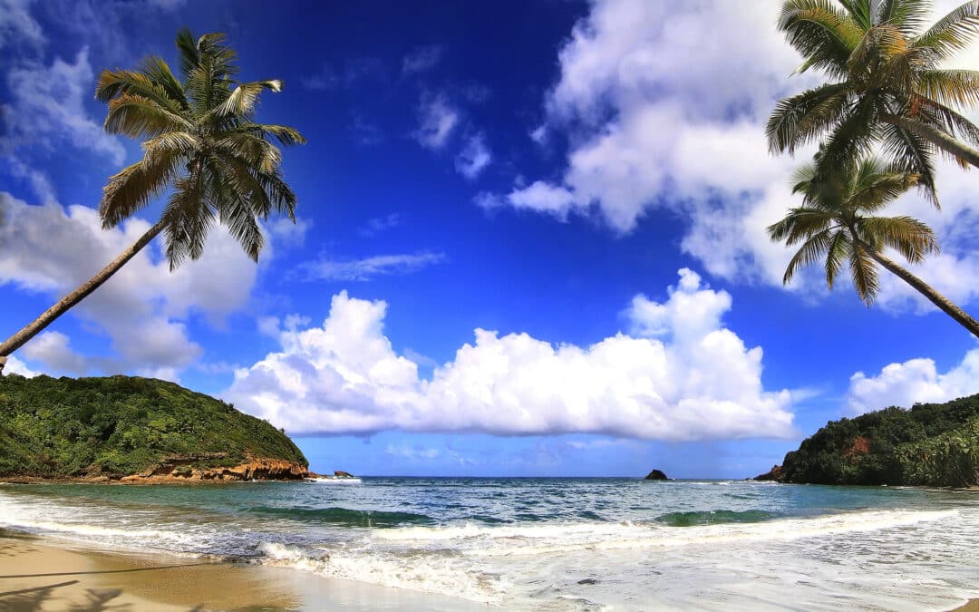 Beautifull beach in Dominica