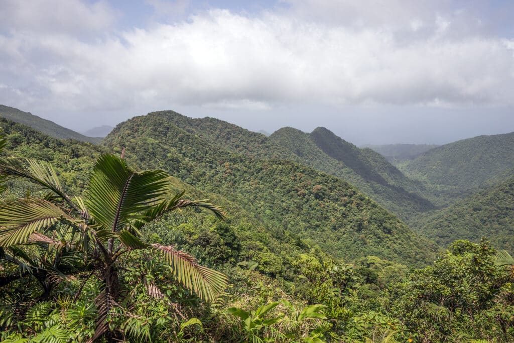 Mountains on Caribbean island of Dominica